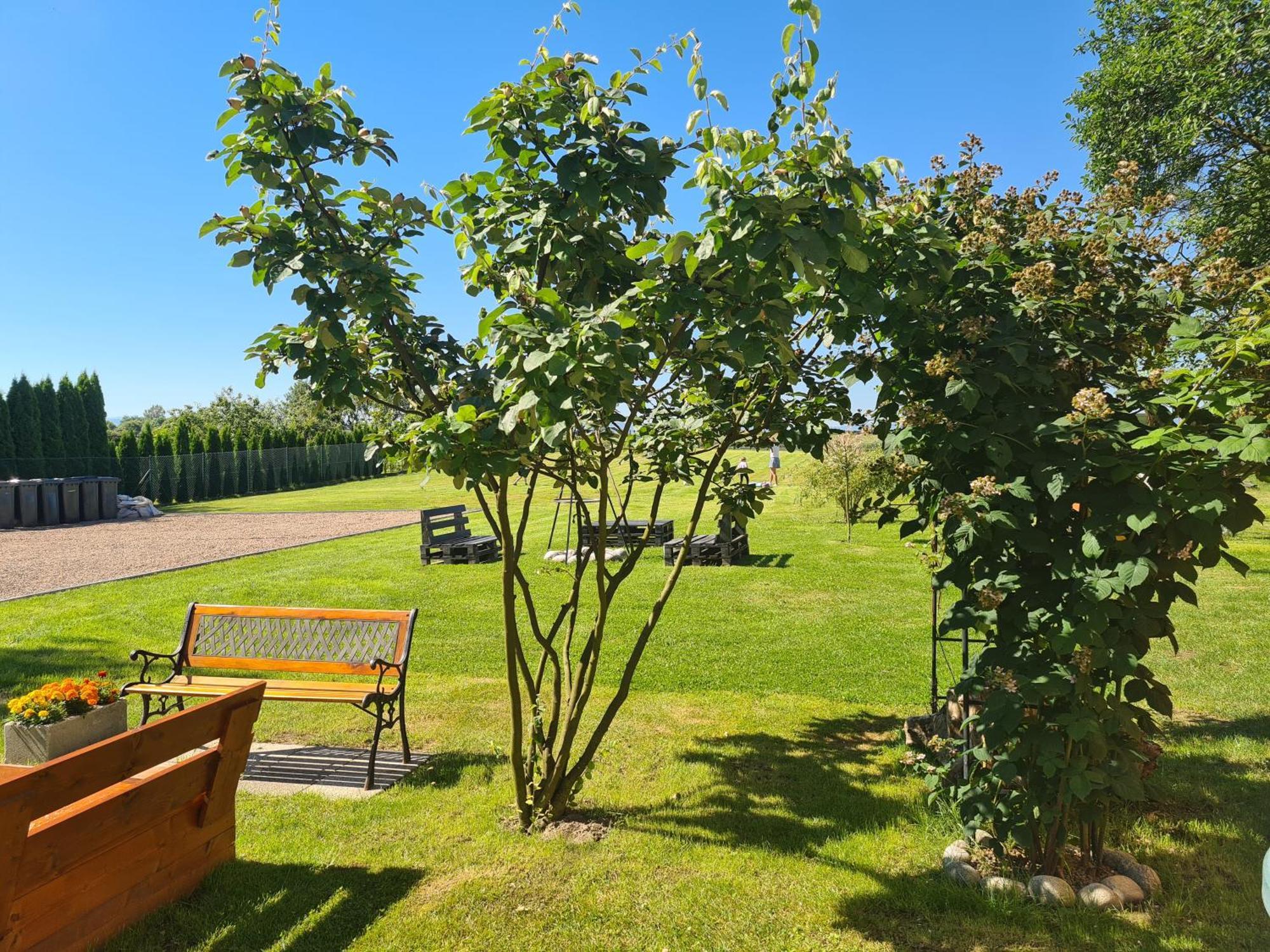 Lawendowy Domek Boutique Resort, Zator, Przeciszow Zewnętrze zdjęcie